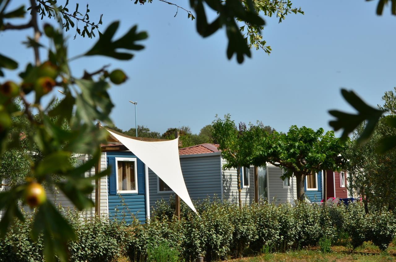 Domaine Sainte Veziane Hotel Bessan Екстериор снимка